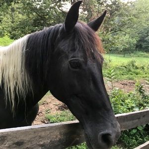 Meet your Posher, Rebecca